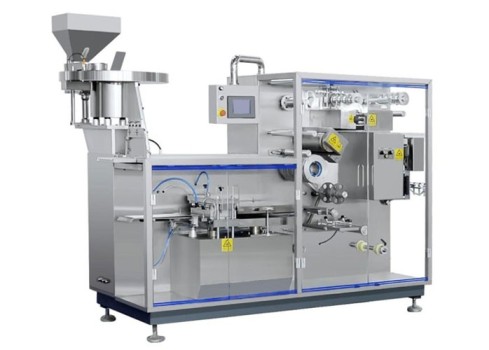 DPH250A Blister Packing Machine